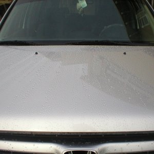wax hood compare