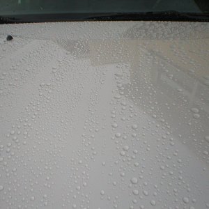 wax hood compare