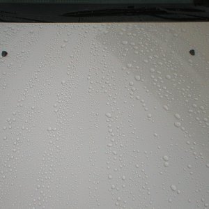 wax hood compare