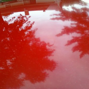 Nissan_2