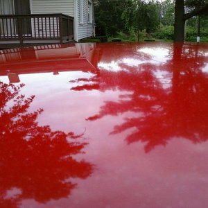 Nissan Neglected Paint