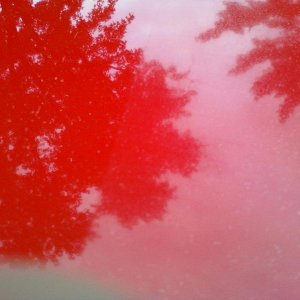 Nissan Neglected Paint