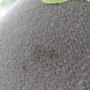 Sonax Fabric Review