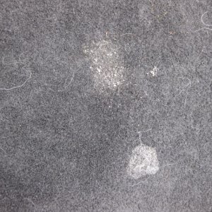 Sonax Fabric Review