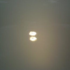 P7130285