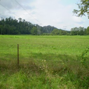 P7130283
