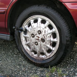 1996 Honda Accord / D151