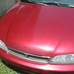 1996 Honda Accord / D151