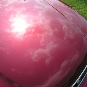 1996 Honda Accord / D151
