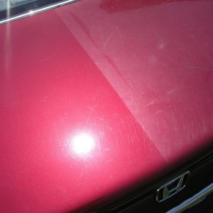 1996 Honda Accord / D151