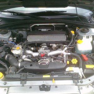 CIMG0053
