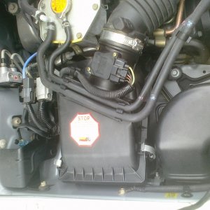 CIMG0054