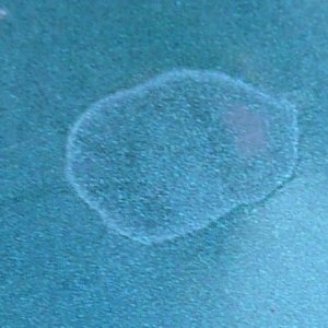Spots on hood