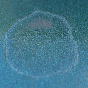 Spots on hood