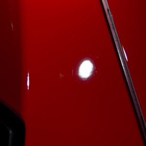 IMG_7960