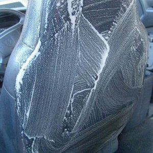 Back of Seat Scrub