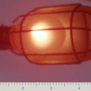 IMG_0075_Zoomed_