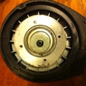 GG_after_plate_removal