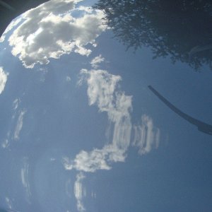 DSC006521