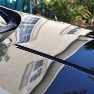 Shinny swirl free hood
