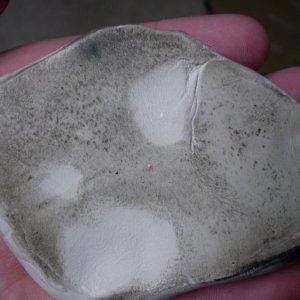 P7250303