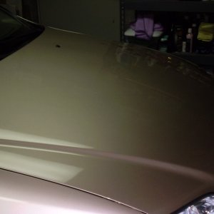 P7310326