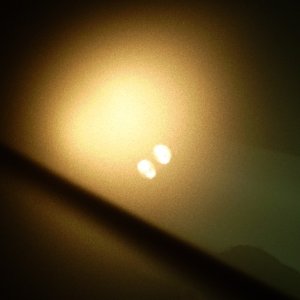 P7310329