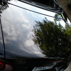 DSCN0636