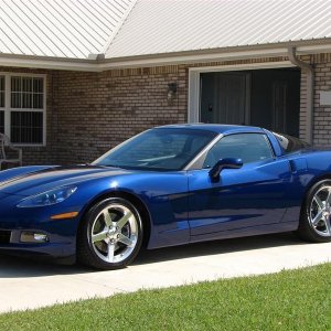 Vette