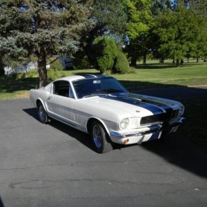 1965 GT-350 Shelby Mustang