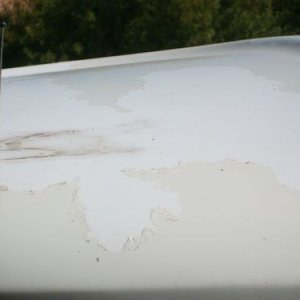 Roof 2