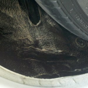 Wheel_Well_1