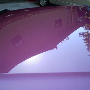 P8300427