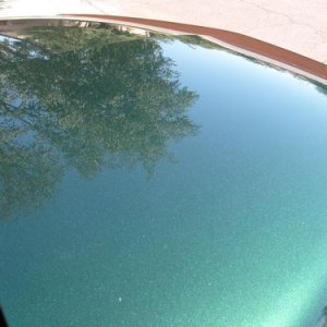 Tree Reflection