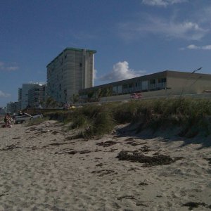 Shuckers2