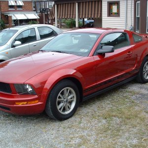 Bobs Mustang