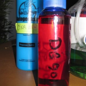DG CWC