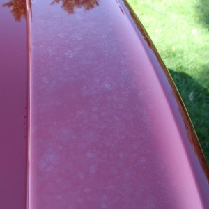 Strange Marks On Wing