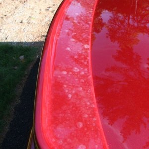 Strange Marks On Wing