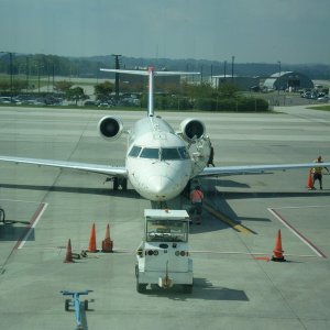 P9010001
