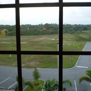 P9010014