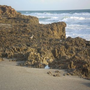 P9020060
