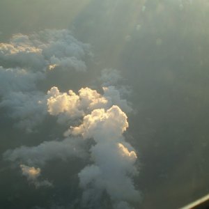 P9030088