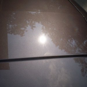 P9070105
