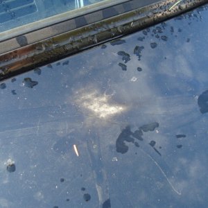 Primer showing through paint