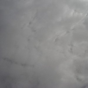 DSC01348