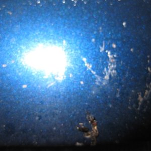 Rinseless Wash