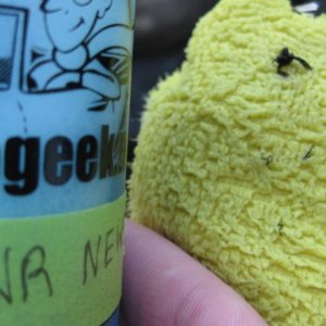 Rinseless Wash