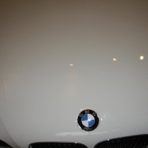 99 BMW hood WG DGPS3.0