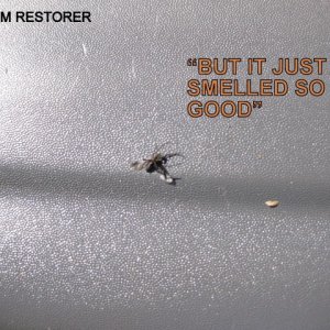 Trim Restore